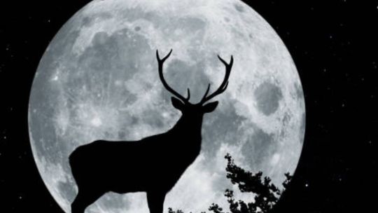 Luna Llena en Julio del 2025