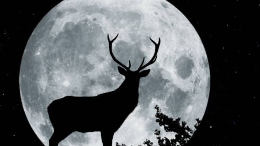 Luna Llena en Julio del 2025