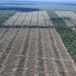 A partir del 3 de julio de 2025 viviremos a crédito ecológico.