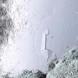 La nieve congeló un lago en el sur marplatense.