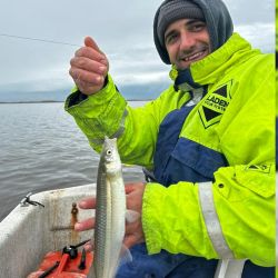 El pejerrey de Mar Chiquita nos ofrece una lucha característica y es un imán para cada vez más aficionados que encuentran en la albufera un destino con multiplicidad de especies y que rinde durante todo el año. 