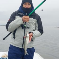 El pejerrey de Mar Chiquita nos ofrece una lucha característica y es un imán para cada vez más aficionados que encuentran en la albufera un destino con multiplicidad de especies y que rinde durante todo el año. 