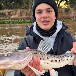 El agua ya está bastante clara, ideal para la pesca con artificiales, lo que hace ilusionar con una excelente temporada una vez que se active el dorado y arranque a pleno el pescador en las modalidades de baitcasting y mosca, dos de las más atrapantes.