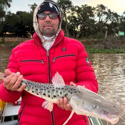 El agua ya está bastante clara, ideal para la pesca con artificiales, lo que hace ilusionar con una excelente temporada una vez que se active el dorado y arranque a pleno el pescador en las modalidades de baitcasting y mosca, dos de las más atrapantes.