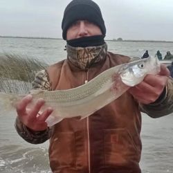 La provincia mediterránea dispone de excelentes ámbitos para la práctica de la pesca del pejerrey.
