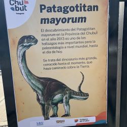 El Patagotitan Mayorum está en Buenos Aires.