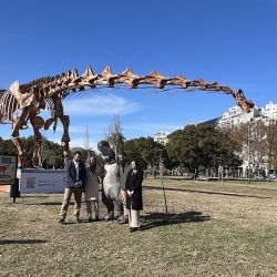 El Patagotitan Mayorum está en Buenos Aires.
