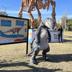 El Patagotitan Mayorum está en Buenos Aires.