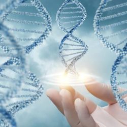 Microbiota y Epigenética: Cómo Pequeños Cambios en Tus Hábitos Transforman Tu Salud desde el Interior. | Foto:CEDOC