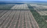 Día Nacional del Sobregiro Ecológico: ¿de qué se trata y por qué preocupa a los ambientalistas?
