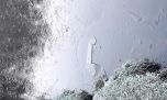 Increíble: por el frío polar, se congeló un lago en Mar del Plata