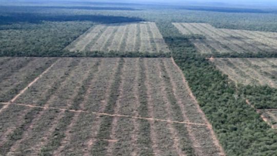 Día Nacional del Sobregiro Ecológico: ¿de qué se trata y por qué preocupa a los ambientalistas?1