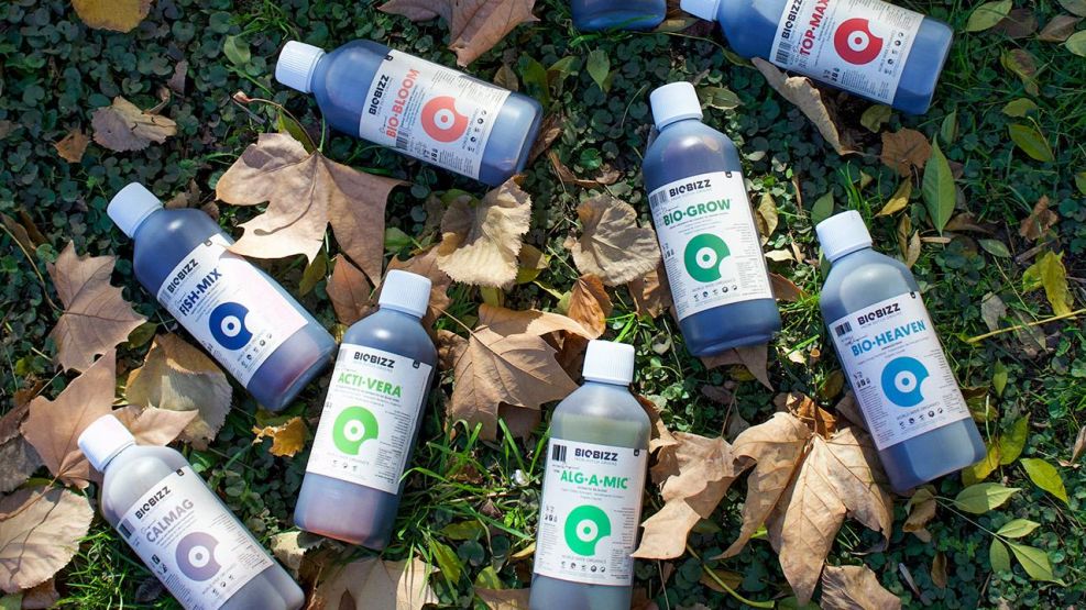 Cultivar cannabis con conciencia: la eficacia de los fertilizantes orgánicos en Argentina