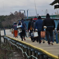 Este certamen convocó a pescadores federados de los clubes más importantes de Buenos Aires quienes pusieron a prueba sus conocimientos en la modalidad variada de flote con escamas.