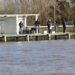 Este certamen convocó a pescadores federados de los clubes más importantes de Buenos Aires quienes pusieron a prueba sus conocimientos en la modalidad variada de flote con escamas.