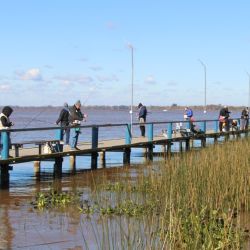 Este certamen convocó a pescadores federados de los clubes más importantes de Buenos Aires quienes pusieron a prueba sus conocimientos en la modalidad variada de flote con escamas.