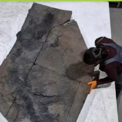 Es el primer ictiosaurio completo excavado en Chile.