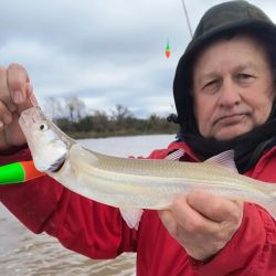 La semana más fría del año afectó la pesca. En muchos ámbitos no se vieron pescadores. 