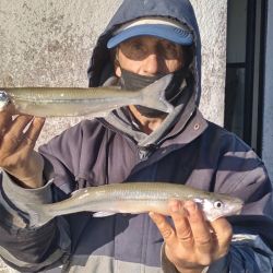El pejerrey de buen porte que está presente se mezcla con medianos que son la mayoría, también algún chico aparece. 