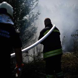Los bomberos rocían agua para extinguir un incendio forestal cerca de Sofía, Bulgaria. Foto de Nikolay DOYCHINOV / AFP | Foto:AFP