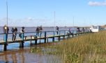 Juncaleros y mojarras fueron los protagonistas en el Club de Pesca Guazú
