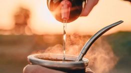 Los dos beneficios ocultos de la yerba mate.