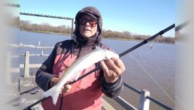 0407_pesca