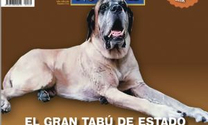 La tapa de NOTICIAS
