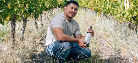 Vinos concebidos sin ataduras 