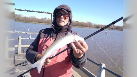 Pejerreyes fondeados a sólo una hora de Capital