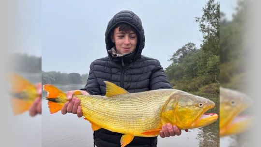 En Reconquista, no es fácil pero es posible dar con dorados y surubíes