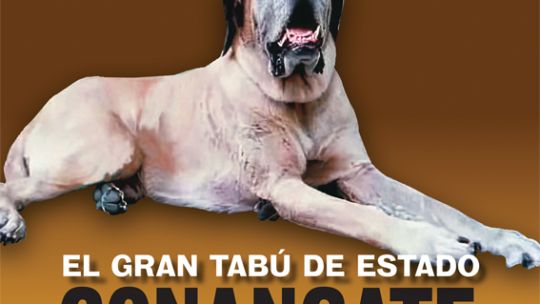 La tapa de NOTICIAS