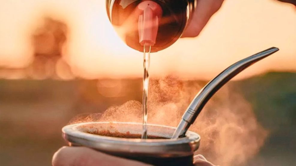 Los dos beneficios ocultos de la yerba mate.