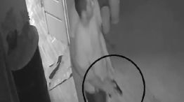 violencia de género en Corrientes