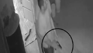 violencia de género en Corrientes