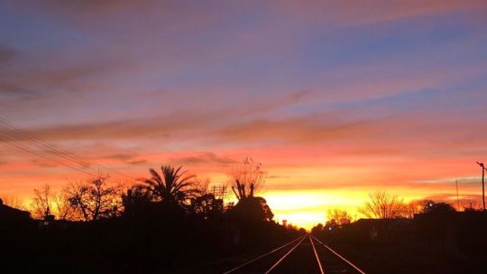 El pueblo bonaerense ideal para una escapada: está cerca de CABA, se llega en tren y es famoso por la Ruta del Queso Ruta del Queso en Suipacha