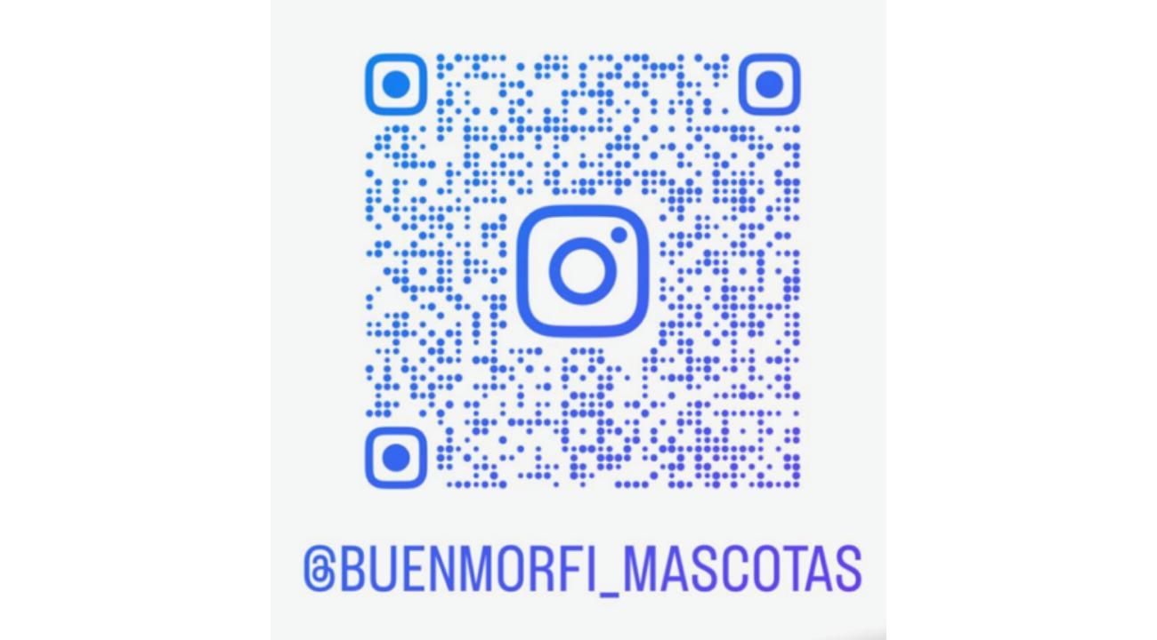 Buenmorfi_mascotas: “¡No salgas con este frío! Nosotros te lo llevamos”.