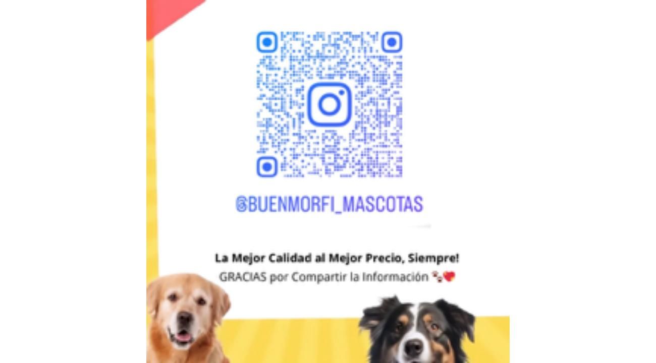 Buenmorfi_mascotas: “¡No salgas con este frío! Nosotros te lo llevamos”.