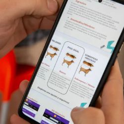 El objetivo de la App es generar datos científicos para mejorar las políticas de bienestar animal y salud pública.