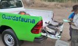 Secuestran medio centenar de truchas y equipos de pesca en operativos en el sur