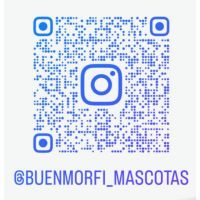 Buenmorfi_mascotas