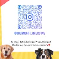 Buenmorfi_mascotas