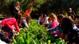 actividades-invierno-vacaciones