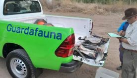 0707_truchas