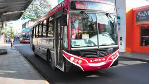 paro de colectivos