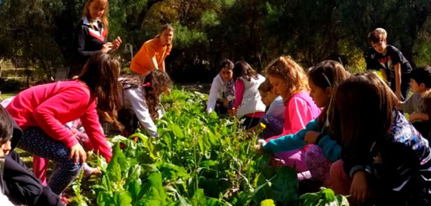 actividades-invierno-vacaciones