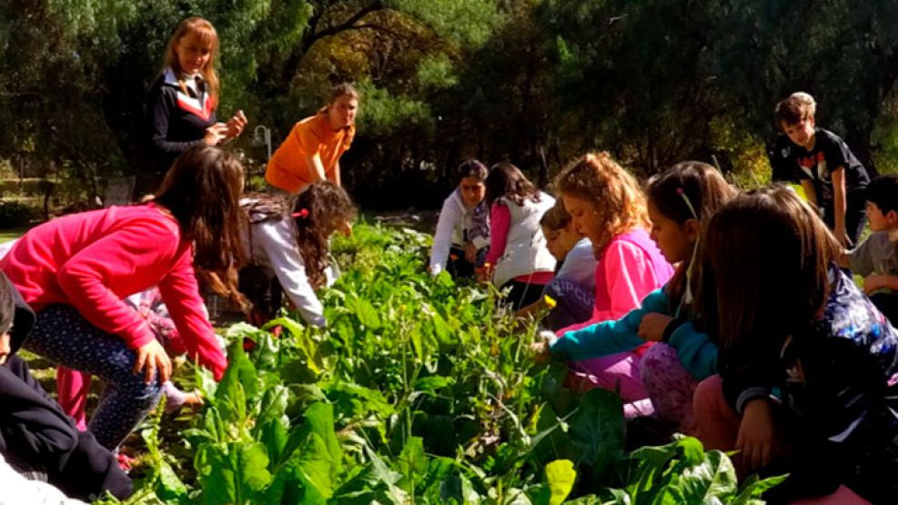 actividades-invierno-vacaciones