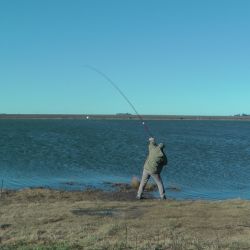 El torneo del domingo 13 de julio asoma como una interesante propuesta en un año que no abundan las competencias de mayor peso en las lagunas. (Foto de archivo)