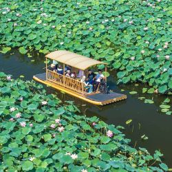 Vista aérea tomada con un dron de turistas montados en un bote disfrutando de las flores de loto en un punto escénico, en la ciudad de Xinghua, en la provincia de Jiangsu, en el este de China. Con la llegada de las vacaciones de verano, muchos lugares de China han entrado en la temporada alta de turismo. (Xinhua/Zhou Shegen) | Foto:Xinhua