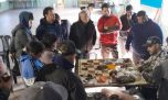 Moscas que trascienden y posicionan a Neuquén como referencia